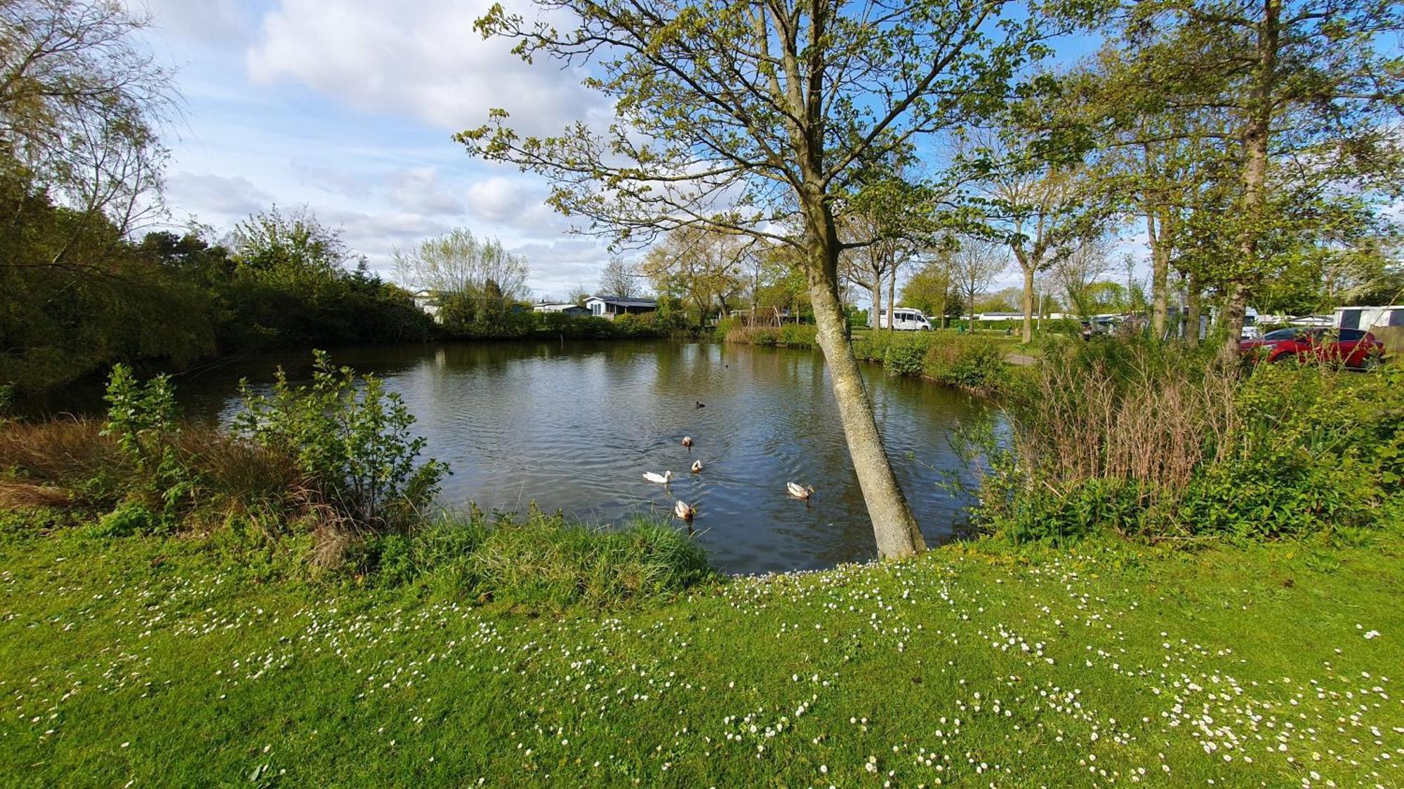 Meer-Brise Burgh-Haamstede Bagian luar foto